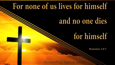 Romans 14:7 For None Of Us Lives For Himself (orange)